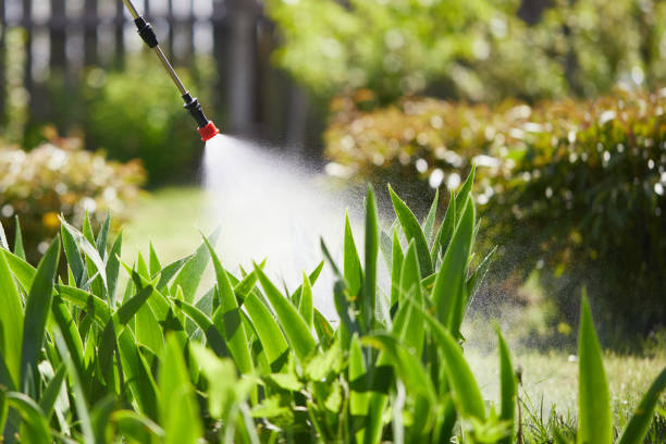24/7 Emergency Wasp Removal experts in Kershaw, SC