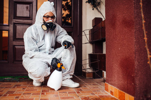 Reliable Wasp Removal contractor in Kershaw, SC by Show Me Pest Control